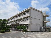 小津小学校（524m）