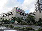 アル・プラザ栗東（338m）