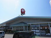 コメリ（565m）