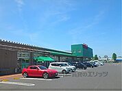 スター　栗東辻店まで300メートル