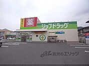 ジップドラッグ　唐崎薬局まで590メートル
