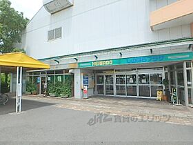 ファミリエ ？105 ｜ 滋賀県近江八幡市江頭町（賃貸アパート1LDK・1階・50.01㎡） その24