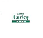 ラッキー寝屋川店  484m