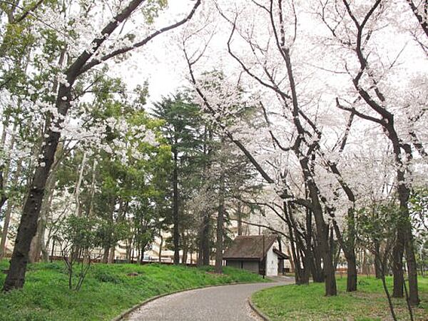 東京都北区滝野川3丁目(賃貸マンション2LDK・6階・50.29㎡)の写真 その17