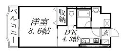 バス 遠鉄バス浜松アリーナ下車 徒歩5分 2階/-