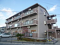滋賀県野洲市市三宅：物件画像／ピタットハウス野洲店　株式会社OVO