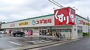ドラッグストア 「スギ薬局守山東店まで324m」