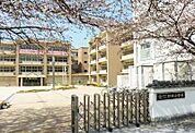 小学校「野洲市立野洲小学校まで610m」