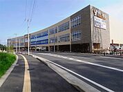 ヤオコー 柏高柳駅前店（千葉県）（241m）