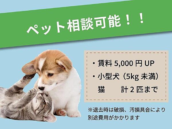 コスモ仙台八木山 206｜宮城県仙台市太白区八木山弥生町(賃貸アパート1K・2階・19.83㎡)の写真 その15