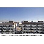 東京都江東区辰巳2丁目：物件画像／御茶ノ水不動産スーペリアホーム　スーペリアス株式会社