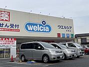 ウエルシア谷塚店（373m）