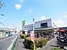 周辺：ライフ 水元店（608m）