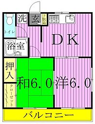エステートピア西新井 3階/301