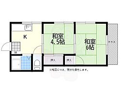 グリーン・マツミ