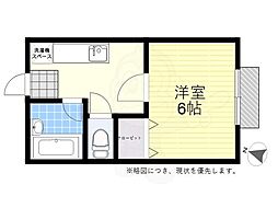 フラワーハウス3 1階/-