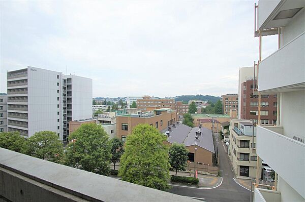 宮城県仙台市青葉区北目町(賃貸マンション2K・12階・38.90㎡)の写真 その26