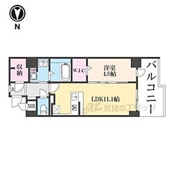 仮)壬生御所ノ内町プロジェクト 1LDKの間取図画像
