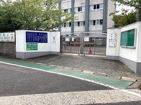 画像13:松ヶ江南小学校(230m)