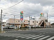 サンリブ／マルショク／富野店 (816m)