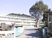 田野浦小学校(550m)