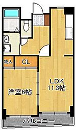 オールセインツ 15階/-