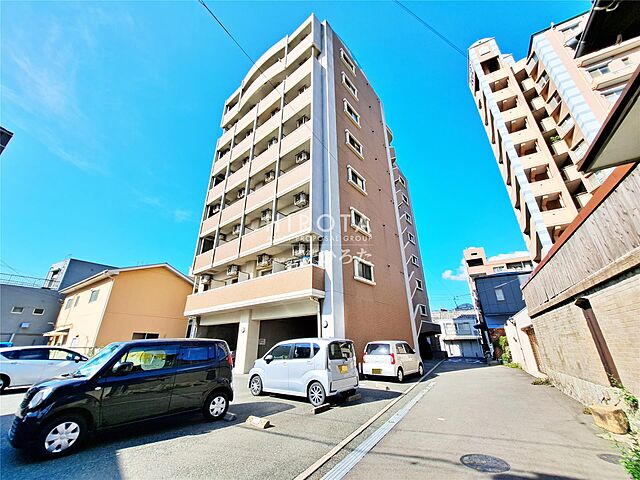 5 / 19