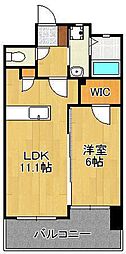 フェルト127 5階