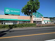 サニー 森林都市店（1431m）