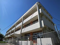 ライジングサン