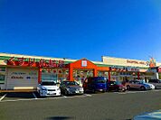 ドラッグ新生堂 宗像店（1597m）