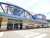 MrMAX  宗像店（MrMAX宗像ショッピングセンター）（721m）