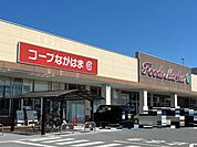 その他「コープながはま店まで1095m」