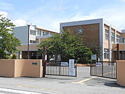 その他「虎姫学園まで380m」