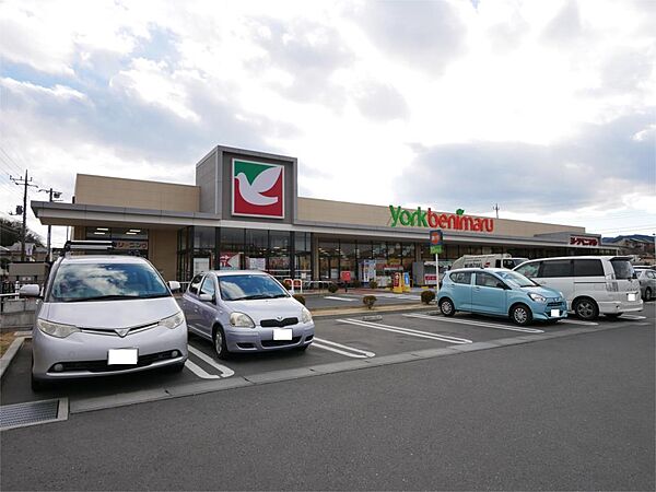 スターライズ 107｜茨城県日立市川尻町５丁目(賃貸アパート1LDK・1階・36.00㎡)の写真 その15