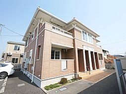 フレックス　M