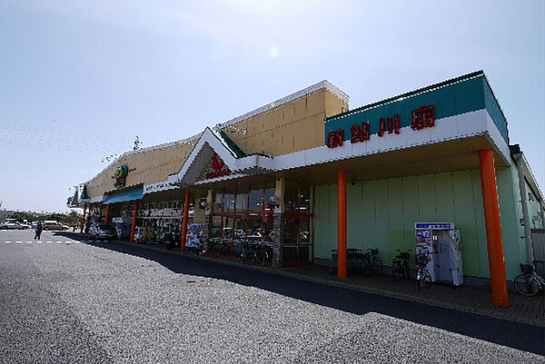 画像15:サンユーストアー 新鮎川店（647m）
