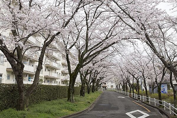 UR幸手 0-02-0004-0403｜埼玉県幸手市栄(賃貸マンション3K・4階・52.35㎡)の写真 その1