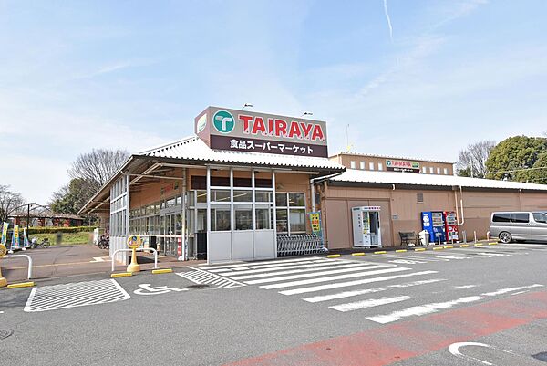 画像23:スーパー「TAIRAYA川鶴店まで406ｍ」