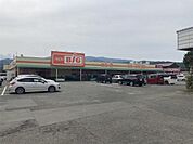 ザ・ビッグ 鳥栖店（1273m）