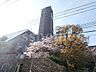 周辺：甲南大学 岡本キャンパス