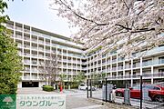 2018年3月撮影