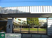 青山学院幼稚園 徒歩11分。幼稚園・保育園 830m