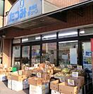 たつみチェーン豊洲店 782m