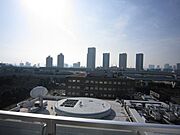 参考