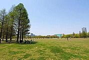 辰巳の森海浜公園 300m