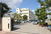 越中島小学校 750m