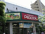 大丸ピーコック 608m