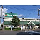 スーパー「マルエツ小金原店まで506ｍ」