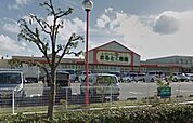 イズミヤまるとく市場平田店(スーパー)まで905m